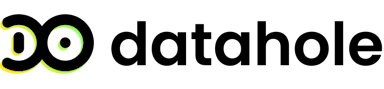 Datahole Logo